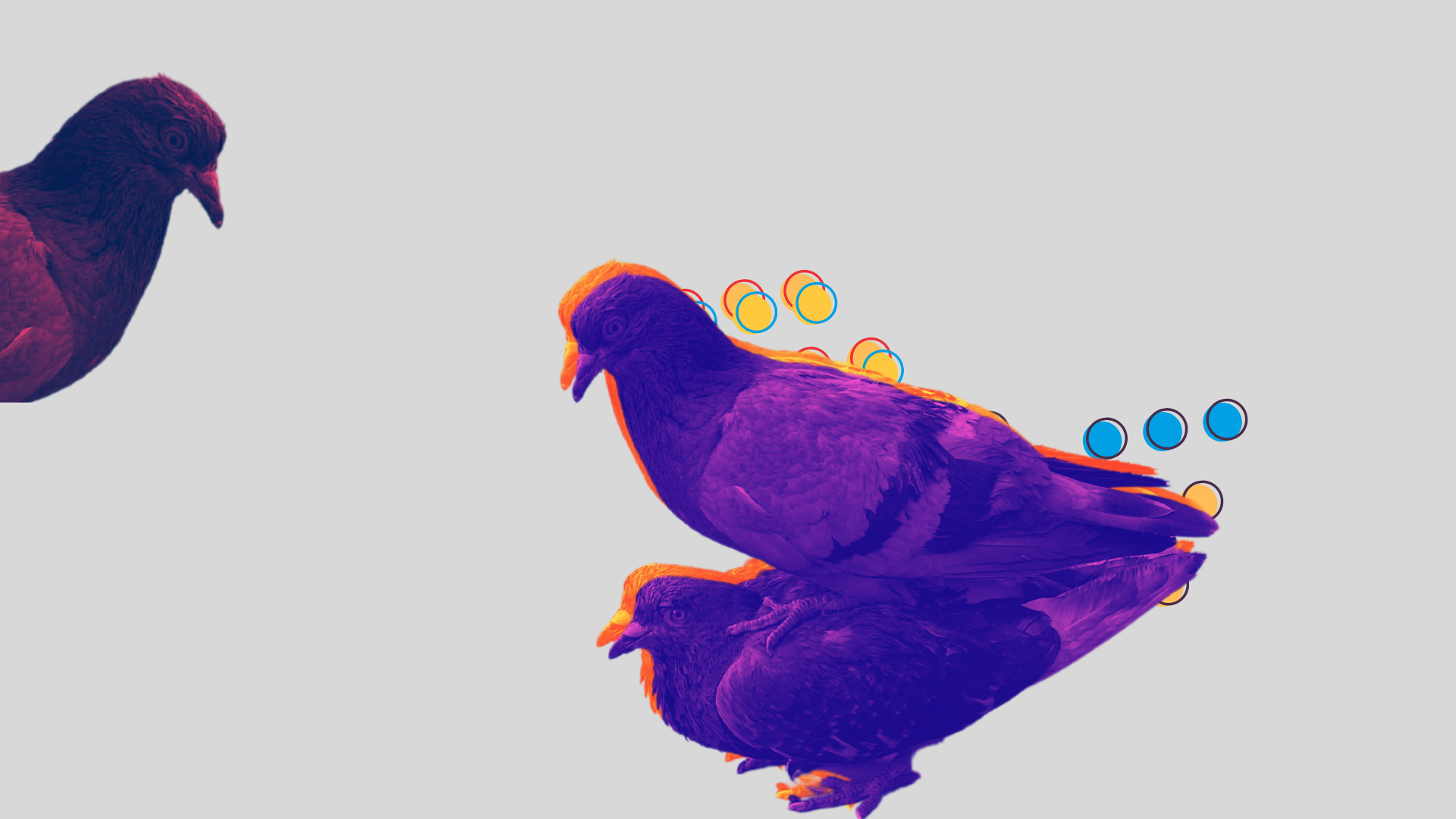 obkladynky statej 11 1